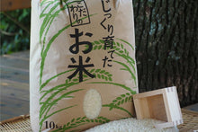 画像をギャラリービューアに読み込む, 【2025年新米】佐見のコシヒカリ(精米) 10kg 【送料込】【送料区分B】