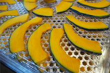 画像をギャラリービューアに読み込む, きゃろちゃんかぼちゃん 50g 【送料区分A】