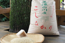 画像をギャラリービューアに読み込む, 【2025年新米】佐見のコシヒカリ(精米)30kg 【送料込】【送料区分B】