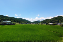 画像をギャラリービューアに読み込む, 【2025年新米】佐見のコシヒカリ(玄米) 30kg 【送料込】【送料区分B】