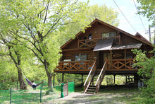 画像をギャラリービューアに読み込む, ゆがふ‘岐阜’