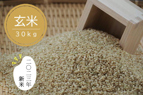 佐見のコシヒカリ（玄米） 30kg　【送料込】【送料区分Ｂ】