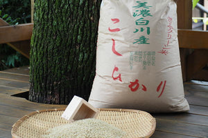 佐見のコシヒカリ（玄米） 30kg　【送料込】【送料区分Ｂ】