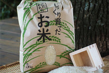 画像をギャラリービューアに読み込む, 佐見のコシヒカリ（精米） 5kg　【送料込】【送料区分Ｂ】
